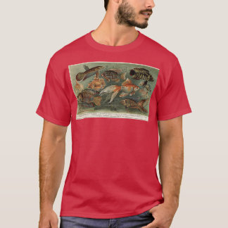Victorian ornamental fish T-Shirt