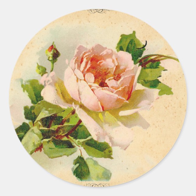 Victorian Pink Rose Classic Round Sticker (Front)