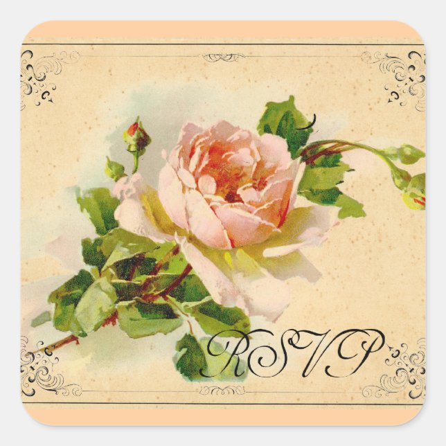 Victorian Pink Rose Square Sticker (Front)