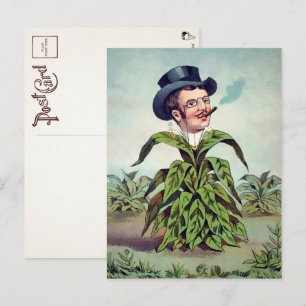 Victorian Plant Man Postcard