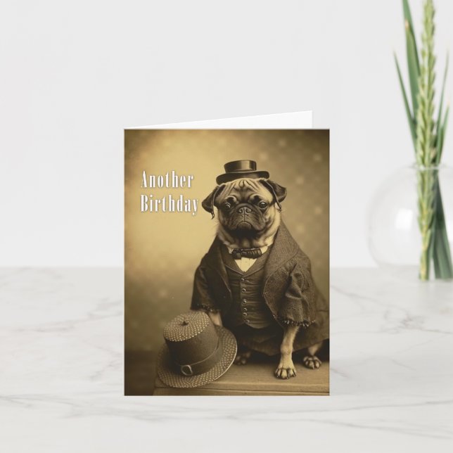Victorian Pug Birthday Card - Funny picture of Pug (Front)