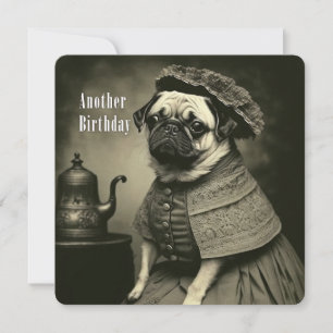 Victorian Pug Birthday Card - Funny picture of Pug