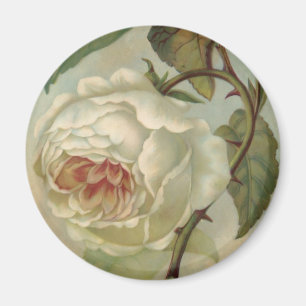 Victorian Rose Postcard Illustration Magnet