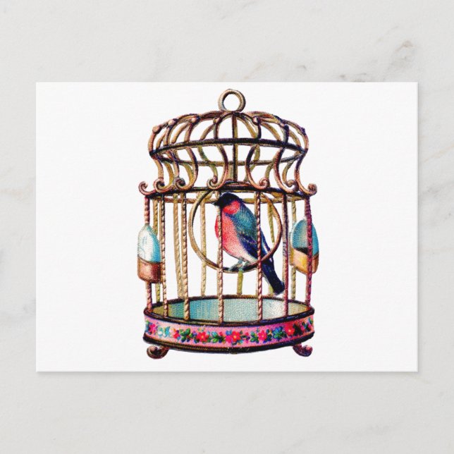 Victorian Scrap Die cut Bird Cage Postcard (Front)