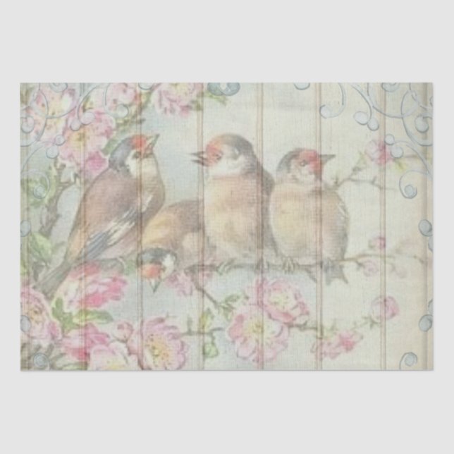 Victorian Songbirds Tissue Paper (Front)