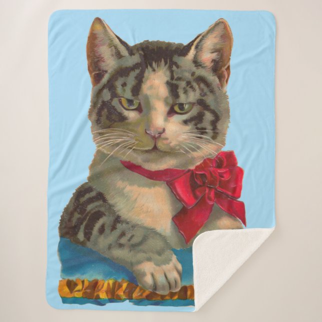 Victorian tabby cat print sherpa blanket (Front)
