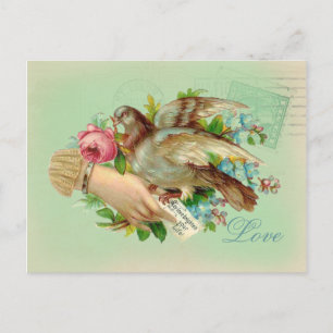 Victorian Valentine Bird and rose Holiday Postcard