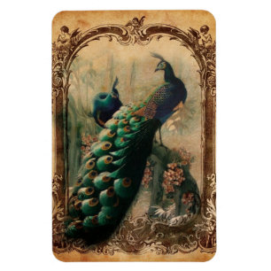 victorian vintage floral parisian peacock magnet