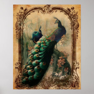 victorian vintage floral parisian peacock poster