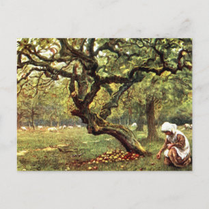 Victorian Watercolor: Girl picking Apples Postcard