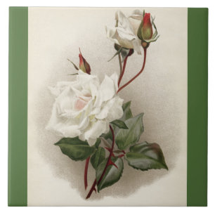 Victorian White Roses Green Ceramic Tile