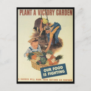 Victory Garden World War 2 Postcard