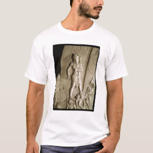Victory Stele of Naram-Sin T-Shirt