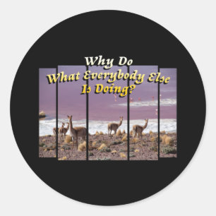 Vicuña Guanaco Lover - Travel Adventure Quote Classic Round Sticker