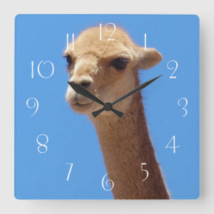 Vicuña self portrait on blue background square wall clock