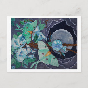 Vida de la Luna Postcard
