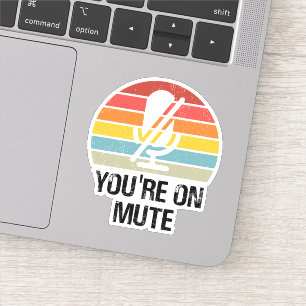 Video Call, You're On Mute, You're On Mute