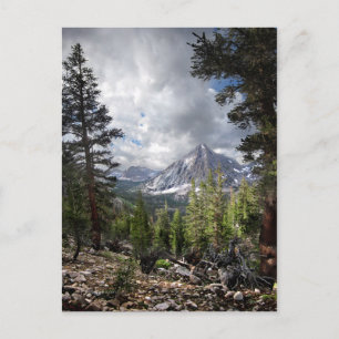 Vidette Peak / Meadow 2 - John Muir Trail Postcard