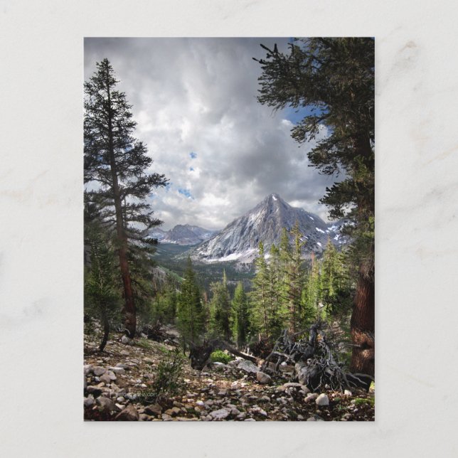 Vidette Peak / Meadow 2 - John Muir Trail Postcard (Front)