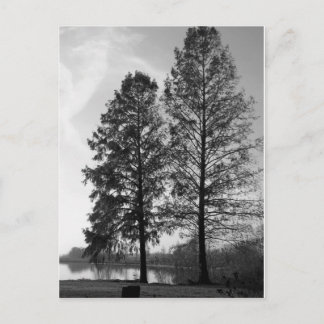 Vienna Maryland waterfront Postcard