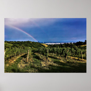 Vienna Vineyard Rainbow Poster