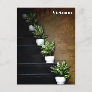 Vietnam Asia Street Photography Holiday Postcard