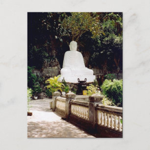 vietnam buddha postcard