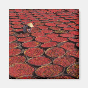 Vietnam. Candy drying in baskets under the Magnet