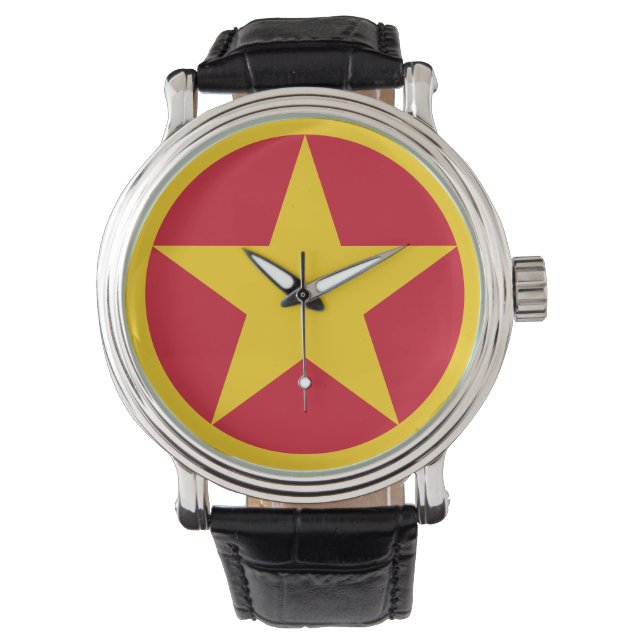 Vietnam country roundel flag symbol circle army av watch (Front)
