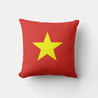 Vietnam flag cushion
