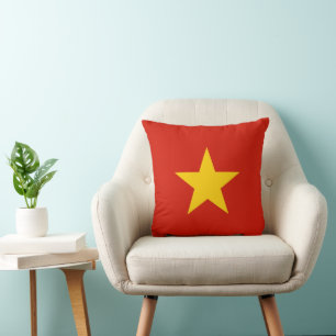 Vietnam flag cushion