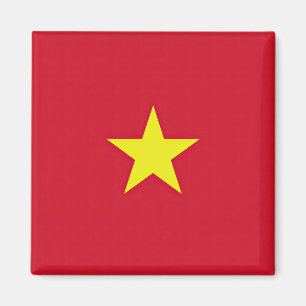 Vietnam flag magnet