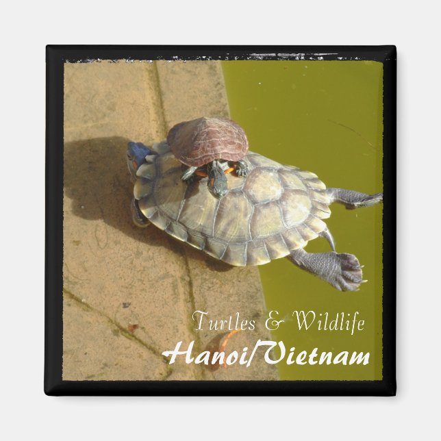 Vietnam, Hanoi, Turtles (Magnet) Magnet (Front)