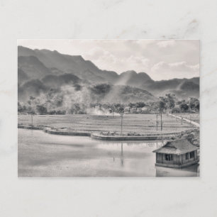 Vietnam Landscape Postcard