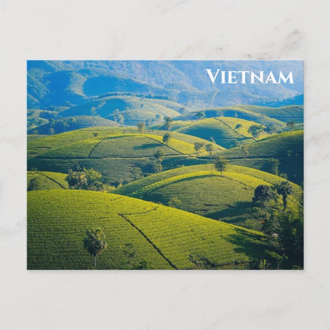 Vietnam Long Coc Tea Hills Travel Photo Postcard (Front)