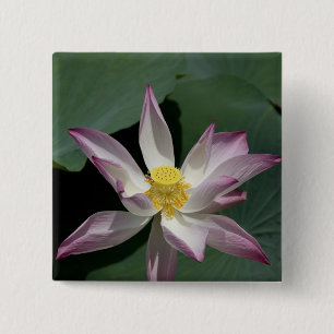 Vietnam, near Saigon) My Tho. Vinh Trang 15 Cm Square Badge