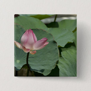 Vietnam, near Saigon) My Tho. Vinh Trang 2 15 Cm Square Badge