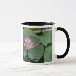 Vietnam, near Saigon) My Tho. Vinh Trang 2 Mug