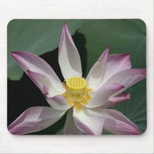 Vietnam, near Saigon) My Tho. Vinh Trang Mouse Mat