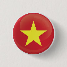 Vietnam Round Icon Flag 