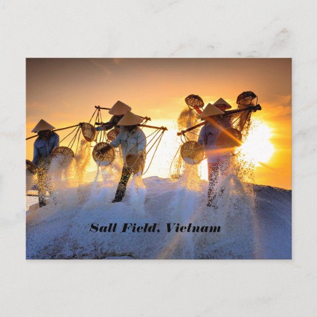 Vietnam Salt Field Postcard (Front)