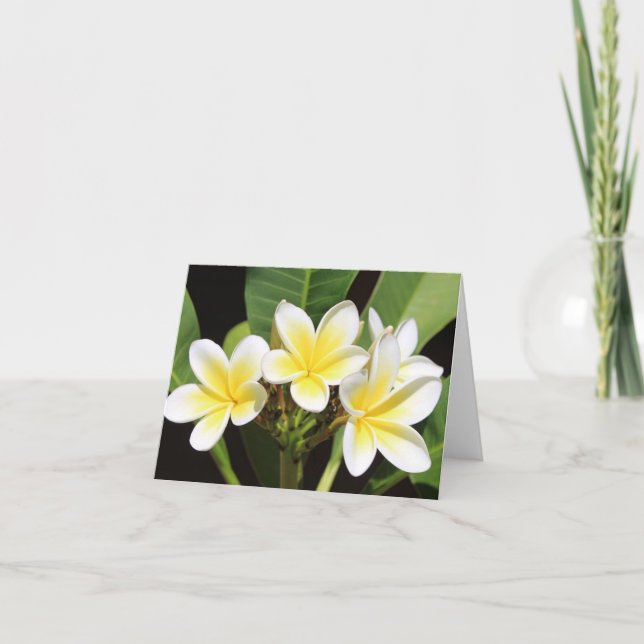 Vietnamese Frangipani All Occasion Notecard (Front)