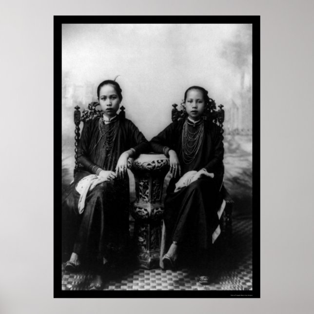 Vietnamese Girls 1903 Poster (Front)