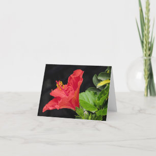 Vietnamese Hibiscus All Occasion Notecard