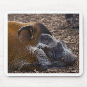 Vietnamese Hog Mouse Mat