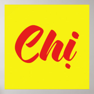 Vietnamese Sister - Chị ~ Tiếng Việt Language Poster