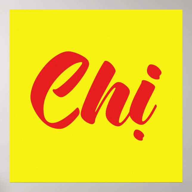 Vietnamese Sister - Chị ~ Tiếng Việt Language Poster (Front)