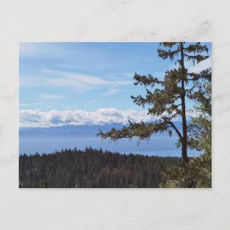 View across the trees from East Sooke, BC, Canada Postcard