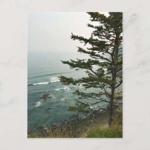 View at Simpson Reef Overlook, Oregon Coast Postcard