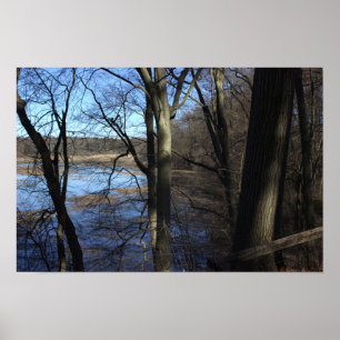 View Beyond the Trees Poster 